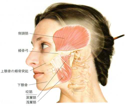 仙台市青葉区台原の歯医者、台原みなも歯科クリニックの顎関節症治療